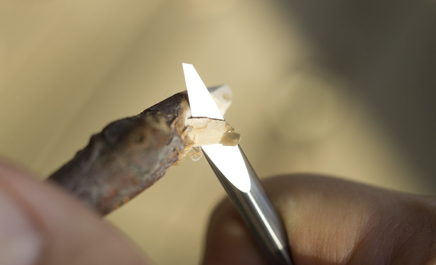 CIZOR Tungsten Knives CIZOR Tungsten Knives